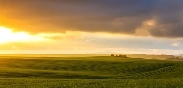 Scenic view of agricultural field against sky during sunset