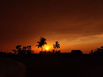 Silhouette palm trees against sky during sunset