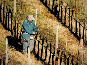 High angle view of man working in farm