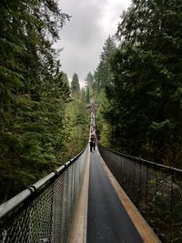 Footbridge amidst trees in forest against sky