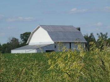 House on field against sky