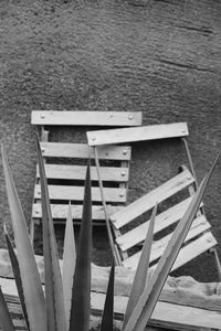 Deck chairs on beach