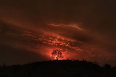 Low angle view of silhouette trees against sky at sunset