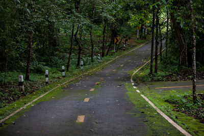 Road amidst trees in forest