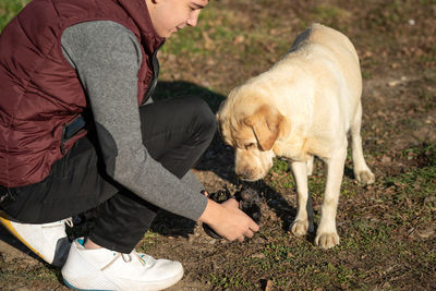 A guy helps his dog labrador to carry newborn puppies to the safe place. 