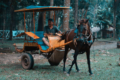 Man riding horse cart