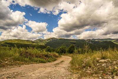 Scenic view of landscape against sky