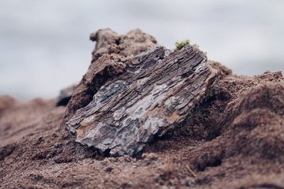 Close-up of rock