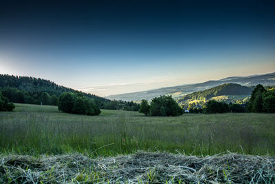 Scenic view of field against clear sky