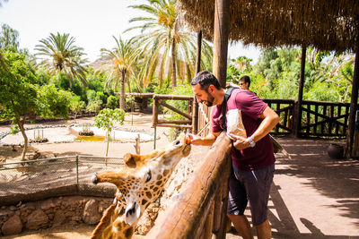 Young couple standing on palm trees