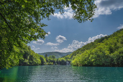 Scenic view of lake by trees against sky