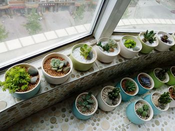 High angle view of plants in balcony
