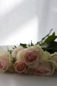 Close-up of rose bouquet