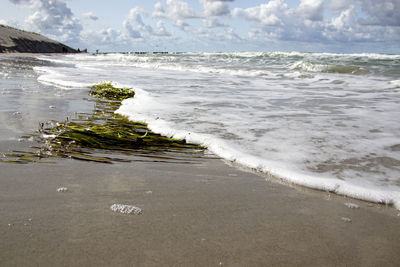 Scenic view of beach against sky