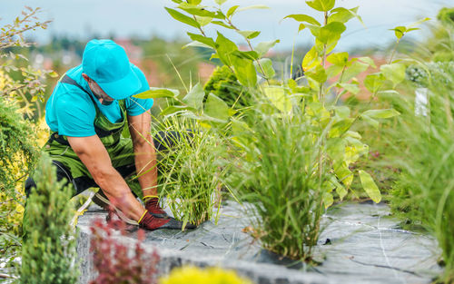 Side view of man sitting amidst plant