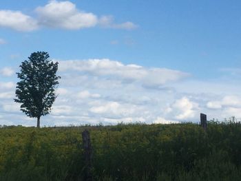 Scenic view of field against cloudy sky