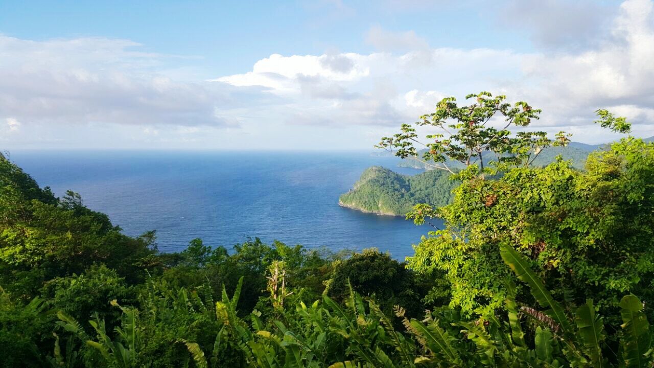 sea, horizon over water, tranquil scene, water, scenics, sky, tranquility, beauty in nature, tree, nature, green color, cloud - sky, idyllic, cloud, high angle view, growth, plant, cloudy, coastline, seascape