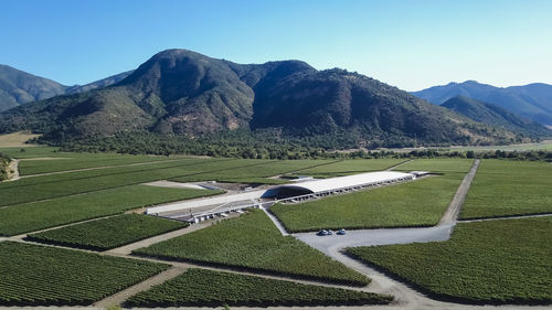 Scenic view of agricultural field against clear sky