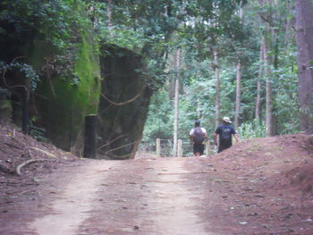 People walking on dirt road in forest