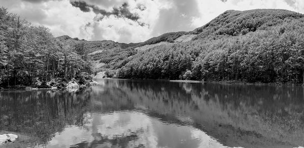 Scenic view of lake by trees against sky