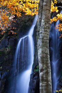Scenic view of waterfall
