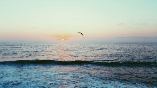 Bird flying over seascape against sky