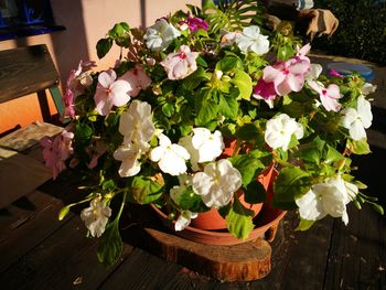 Close-up of flowers on table