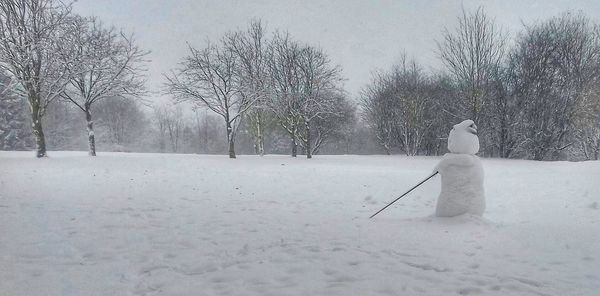 Bare trees on snow covered field