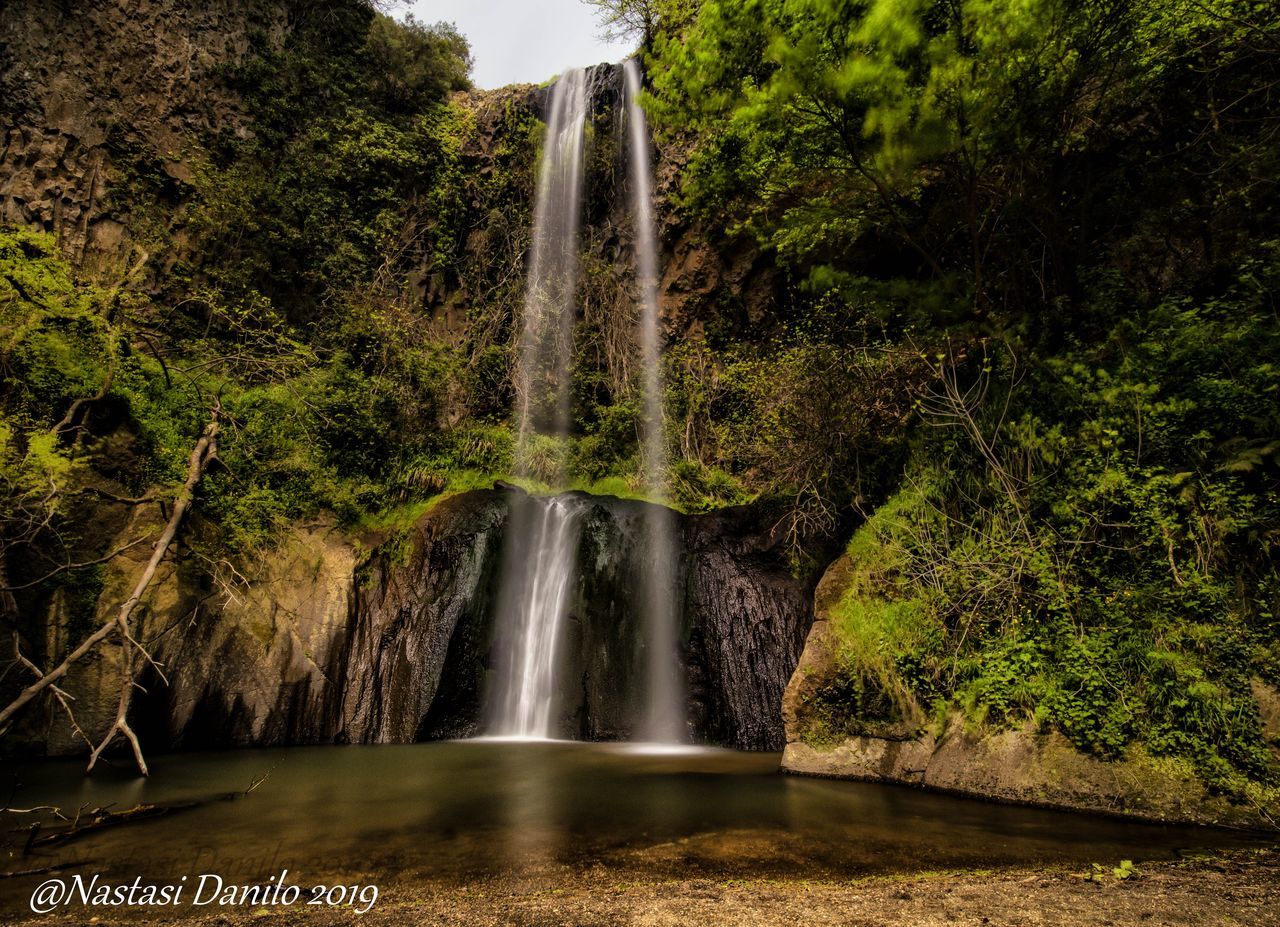 WATERFALL IN A FOREST