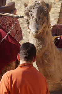 Rear view of man and son