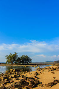 Scenic view of beach against blue sky