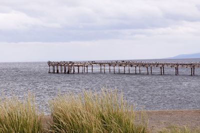 Wooden posts on pier over sea against sky