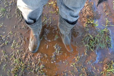 Low section of person standing on wet land