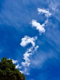 Low angle view of trees against blue sky