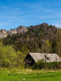 Scenic view of trees and houses against sky