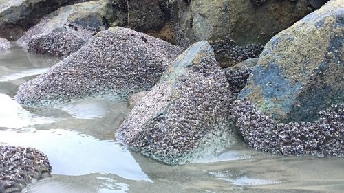 Rocks in water