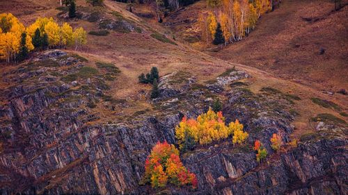 autumn