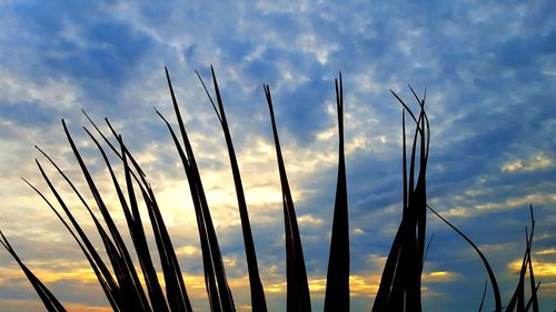 Close-up of grass against sky during sunset