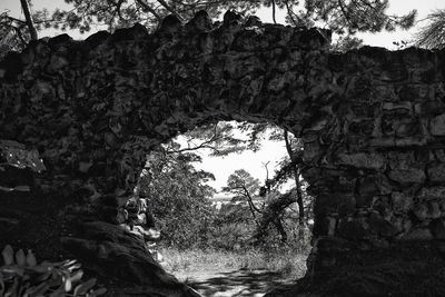 Low angle view of trees against the wall