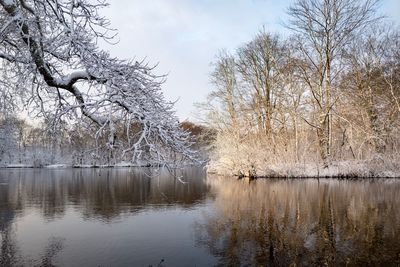 Bare trees by lake against sky