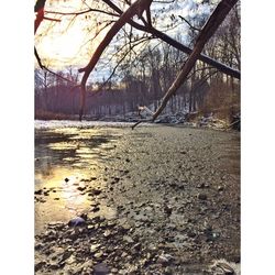 water