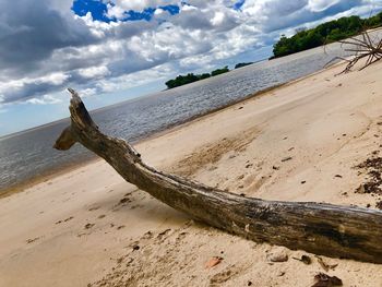 Driftwood on beach against sky