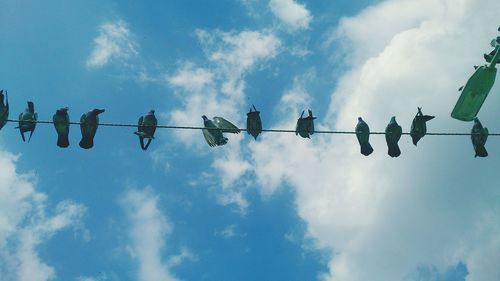 Low angle view of birds flying against cloudy sky