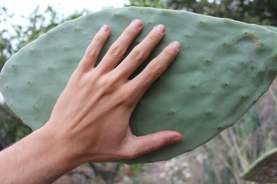 Close-up of woman hand on leaf