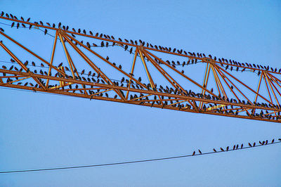 Low angle view of crane against clear blue sky