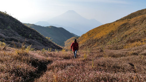 Relax and enjoy the morning view over the mountain. gunung prau, indonesia