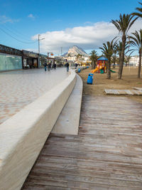 Surface level view of palm trees on beach