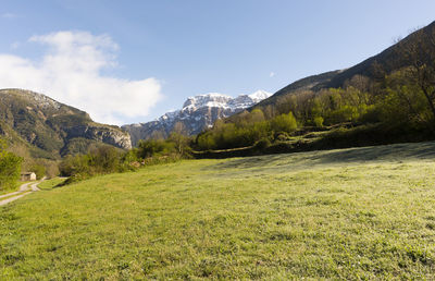 Scenic view of landscape against sky