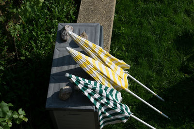 High angle view of plant in yard