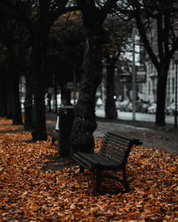 Empty bench in park during autumn